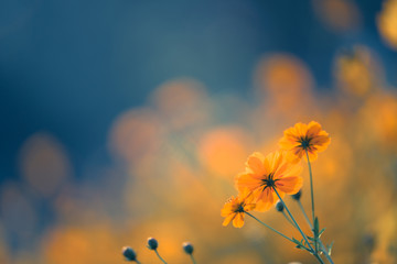 适合发快手的励志 快手发的句子经典语录