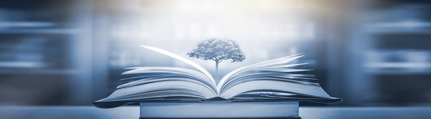 英语的年月日表示方法