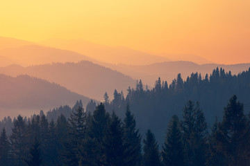 歌颂地质工作者的文章