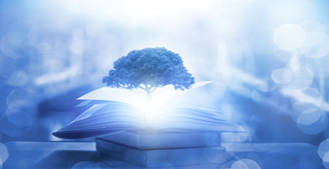 那些朗朗上口的军训霸气口号汇总