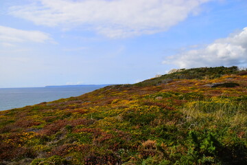 歌颂地质工作者的文章