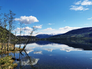 关于篮球的知识