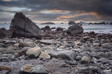 花生的生长过程手抄报