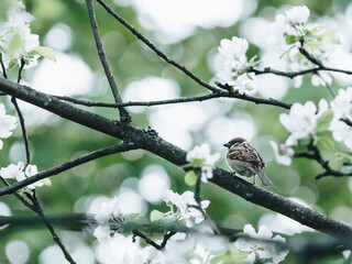 感恩公司最朴实的句子