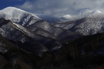 关于篮球的知识