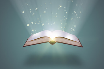 关于篮球的知识