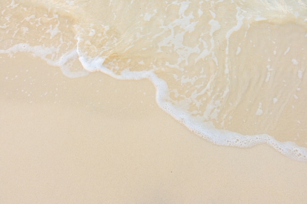 歌颂地质工作者的文章