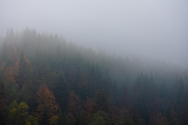 适合发快手的励志 快手发的句子经典语录