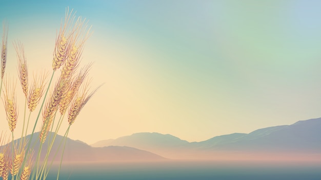 英语的年月日表示方法