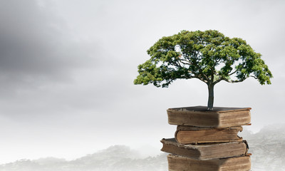 花生的生长过程手抄报