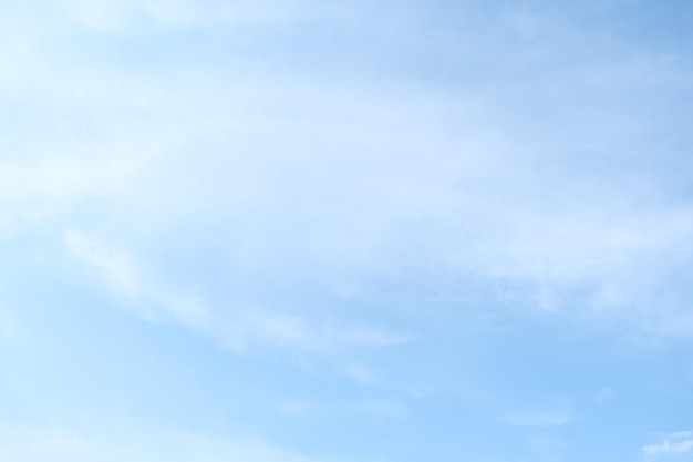 花生的生长过程手抄报