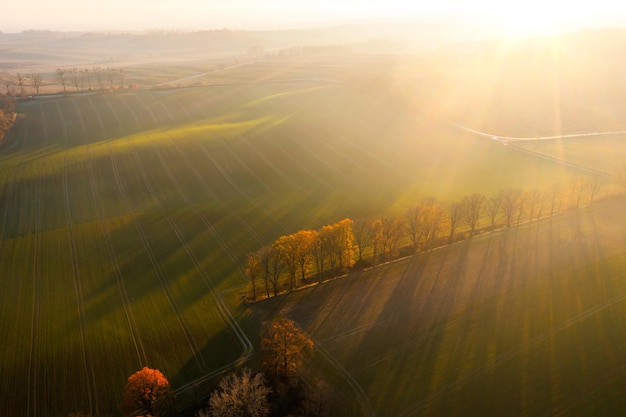 袁隆平趣事有哪些