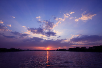 花生的生长过程手抄报