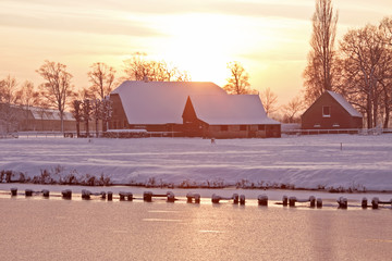 关于篮球的知识