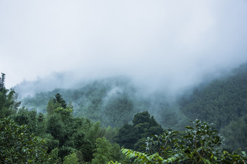 歌颂地质工作者的文章